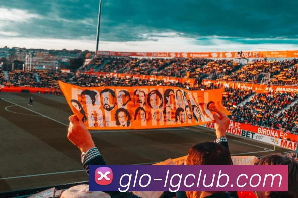 App Interface Preview